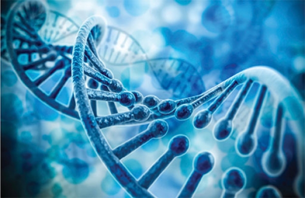 Amd genetic test